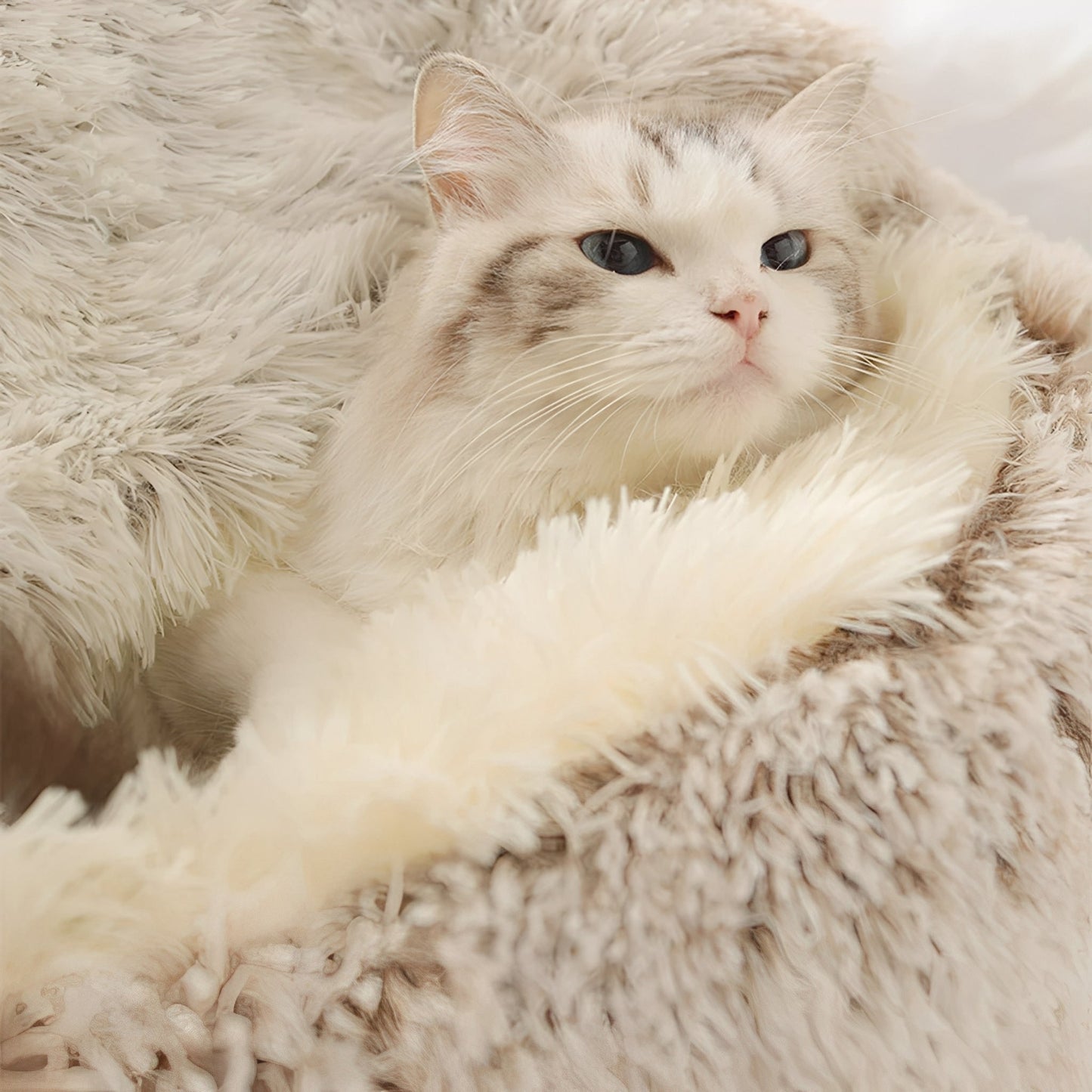 Fenixbo CozyCave – Varm Husdjurskorg